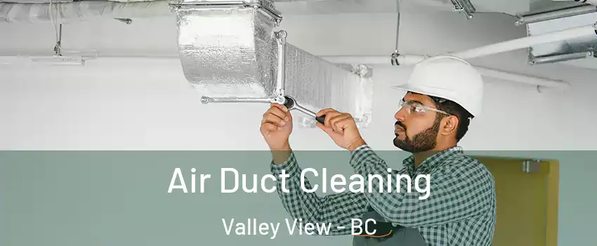  Air Duct Cleaning Valley View - BC