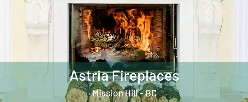  Astria Fireplaces Mission Hill - BC