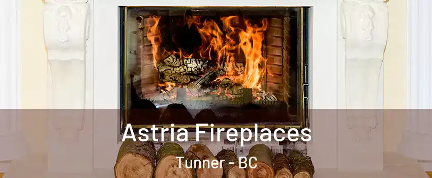  Astria Fireplaces Tunner - BC