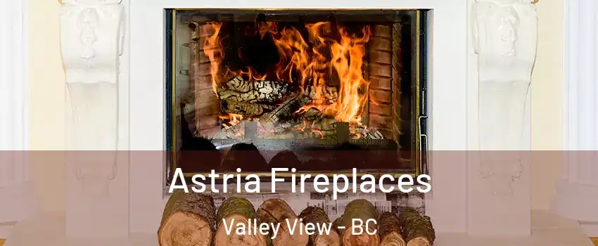  Astria Fireplaces Valley View - BC