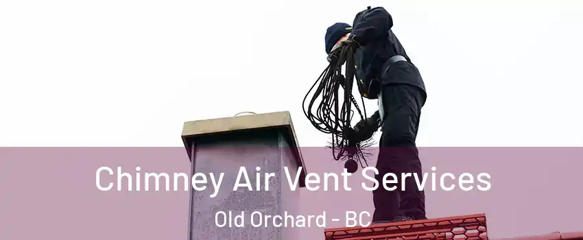  Chimney Air Vent Services Old Orchard - BC