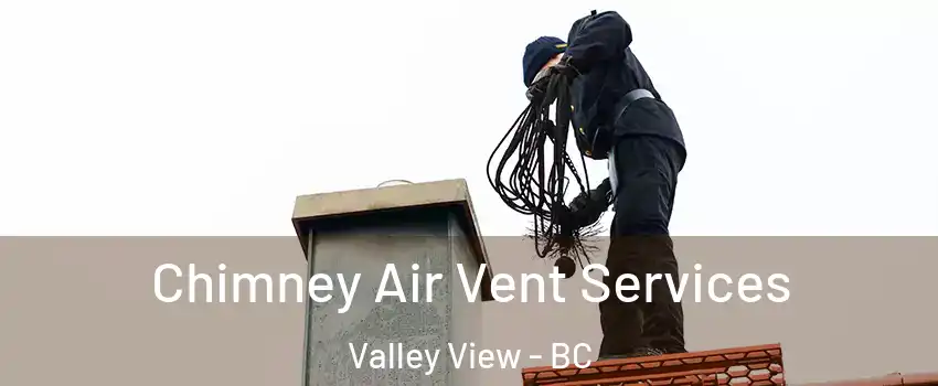  Chimney Air Vent Services Valley View - BC