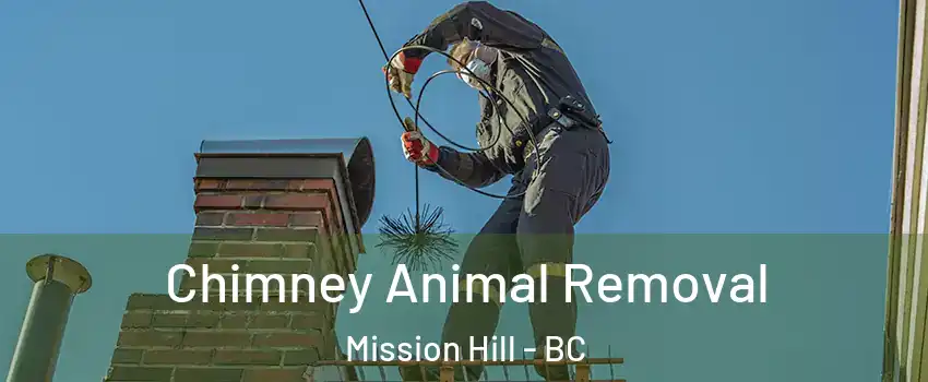  Chimney Animal Removal Mission Hill - BC