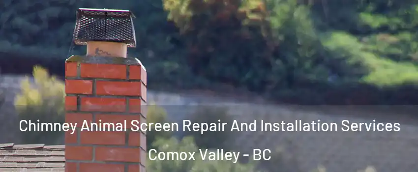  Chimney Animal Screen Repair And Installation Services Comox Valley - BC