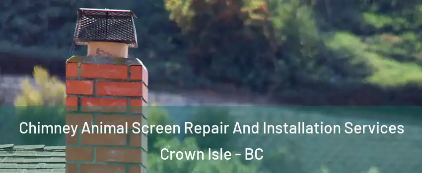  Chimney Animal Screen Repair And Installation Services Crown Isle - BC