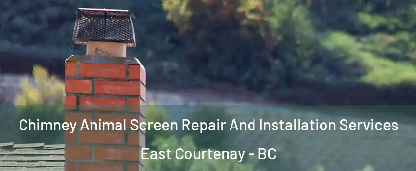  Chimney Animal Screen Repair And Installation Services East Courtenay - BC