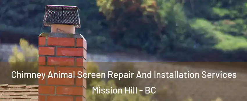  Chimney Animal Screen Repair And Installation Services Mission Hill - BC