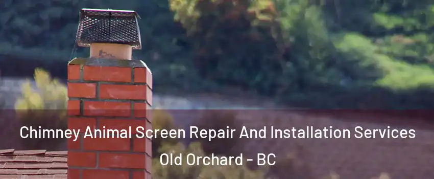  Chimney Animal Screen Repair And Installation Services Old Orchard - BC
