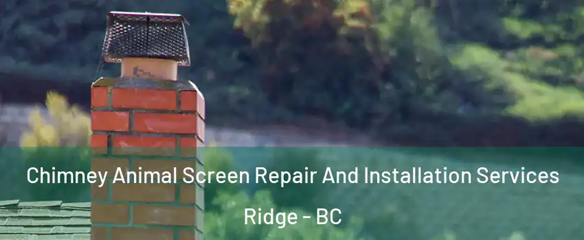  Chimney Animal Screen Repair And Installation Services Ridge - BC
