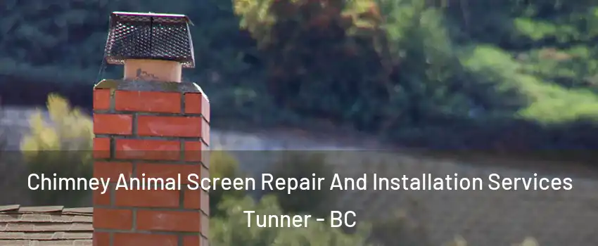  Chimney Animal Screen Repair And Installation Services Tunner - BC