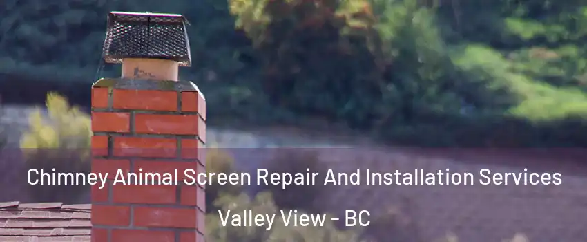  Chimney Animal Screen Repair And Installation Services Valley View - BC