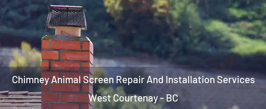  Chimney Animal Screen Repair And Installation Services West Courtenay - BC