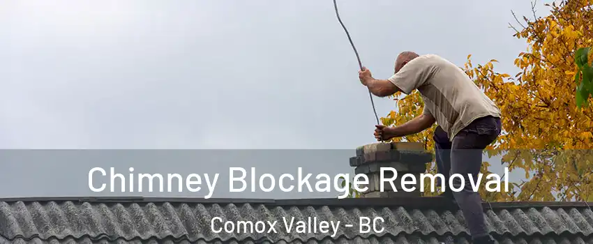  Chimney Blockage Removal Comox Valley - BC
