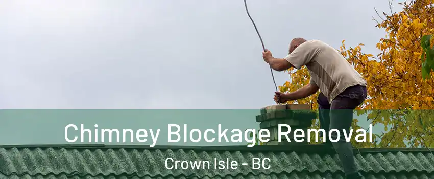  Chimney Blockage Removal Crown Isle - BC
