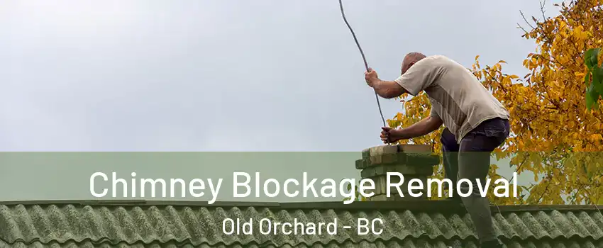  Chimney Blockage Removal Old Orchard - BC