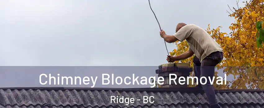  Chimney Blockage Removal Ridge - BC