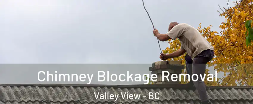  Chimney Blockage Removal Valley View - BC