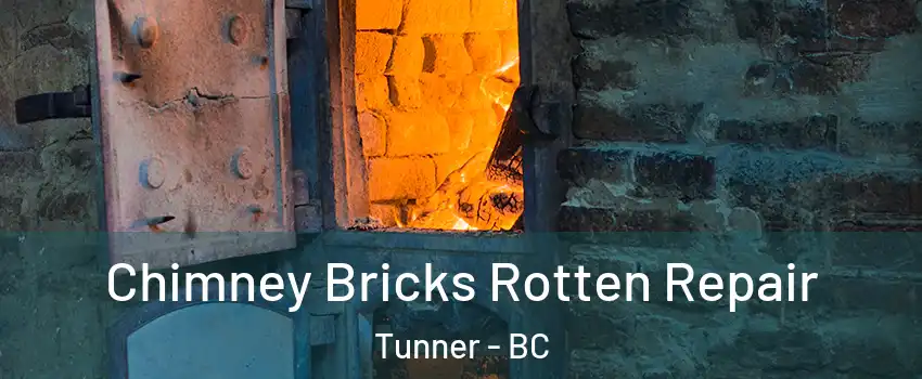  Chimney Bricks Rotten Repair Tunner - BC