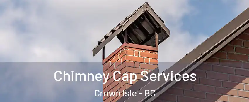  Chimney Cap Services Crown Isle - BC