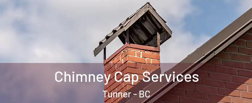  Chimney Cap Services Tunner - BC