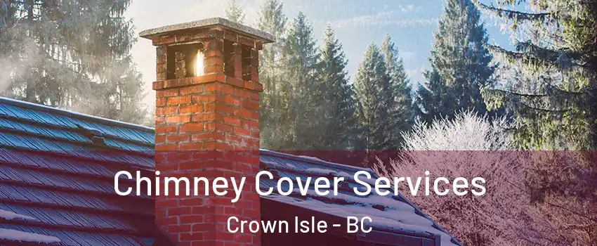  Chimney Cover Services Crown Isle - BC