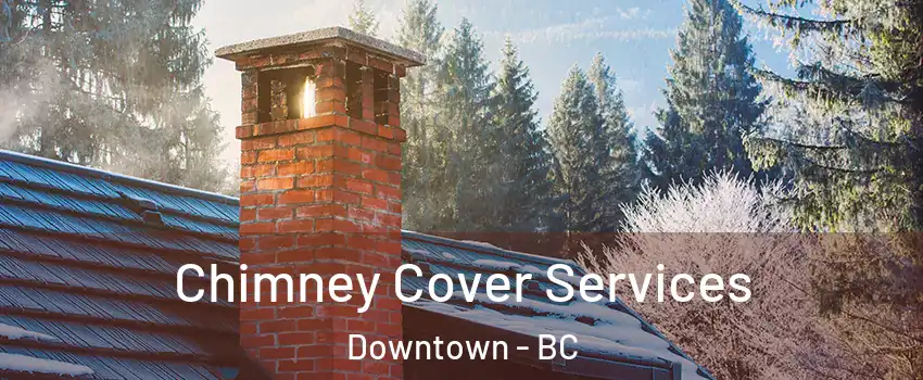  Chimney Cover Services Downtown - BC