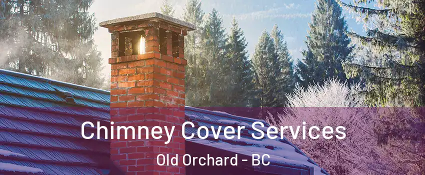  Chimney Cover Services Old Orchard - BC