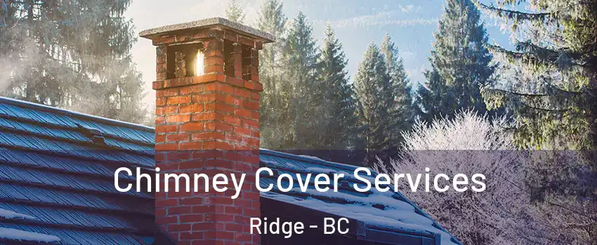  Chimney Cover Services Ridge - BC