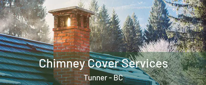  Chimney Cover Services Tunner - BC