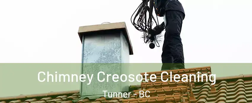  Chimney Creosote Cleaning Tunner - BC