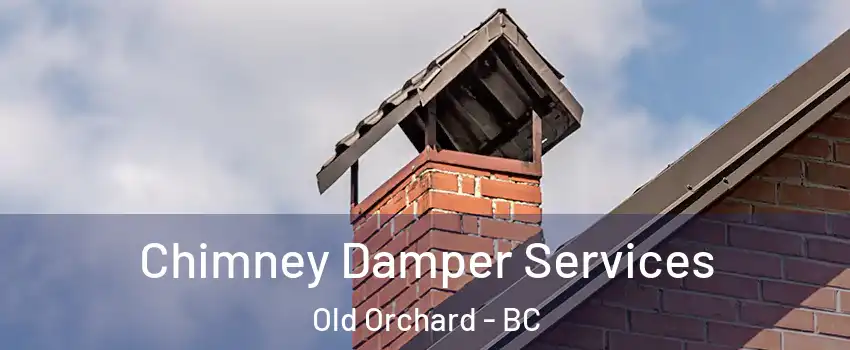  Chimney Damper Services Old Orchard - BC
