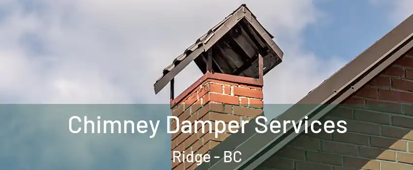 Chimney Damper Services Ridge - BC