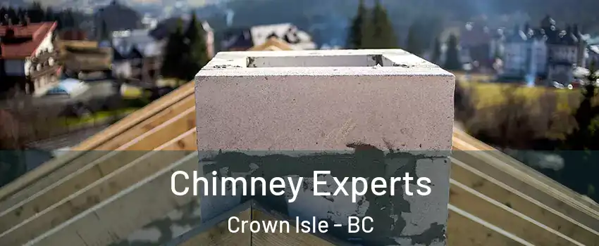  Chimney Experts Crown Isle - BC