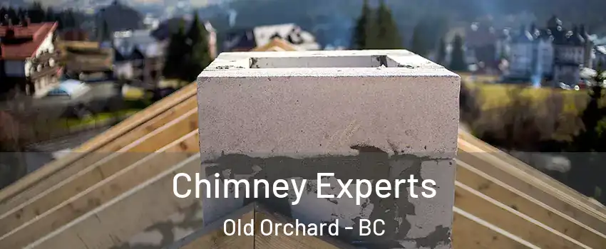  Chimney Experts Old Orchard - BC