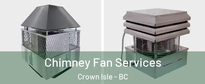 Chimney Fan Services Crown Isle - BC