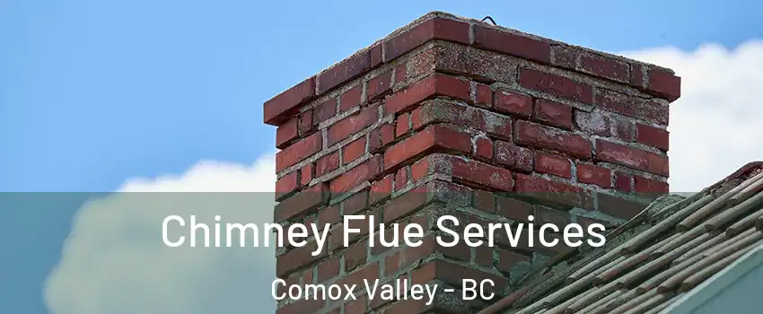  Chimney Flue Services Comox Valley - BC