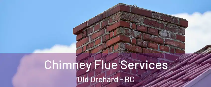  Chimney Flue Services Old Orchard - BC