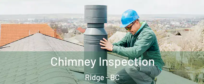  Chimney Inspection Ridge - BC