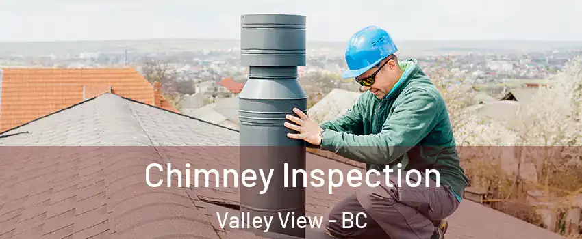  Chimney Inspection Valley View - BC