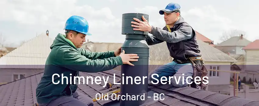  Chimney Liner Services Old Orchard - BC