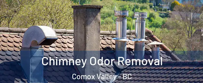 Chimney Odor Removal Comox Valley - BC