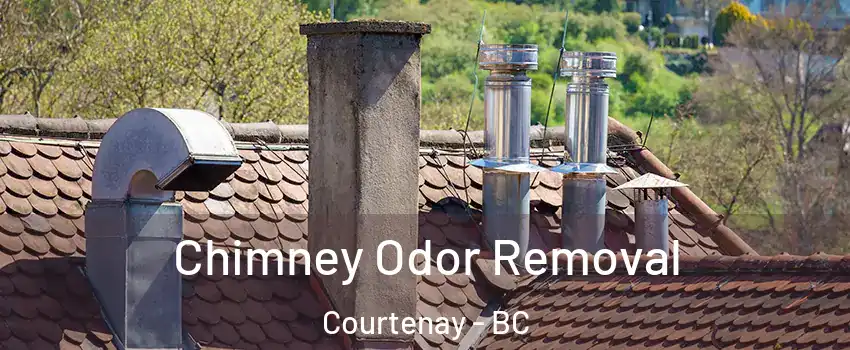  Chimney Odor Removal Courtenay - BC
