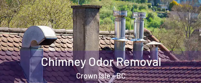  Chimney Odor Removal Crown Isle - BC