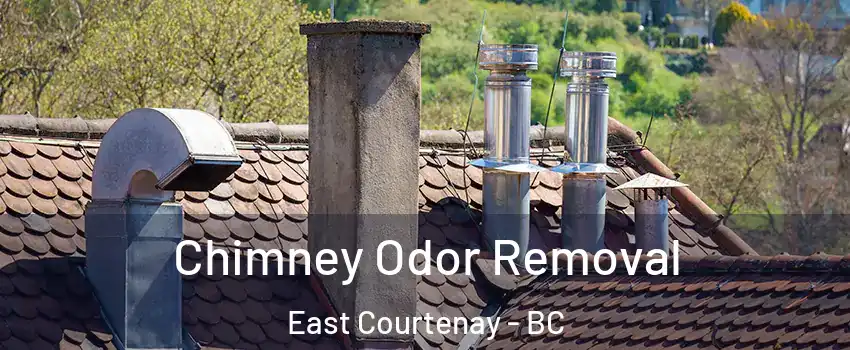 Chimney Odor Removal East Courtenay - BC