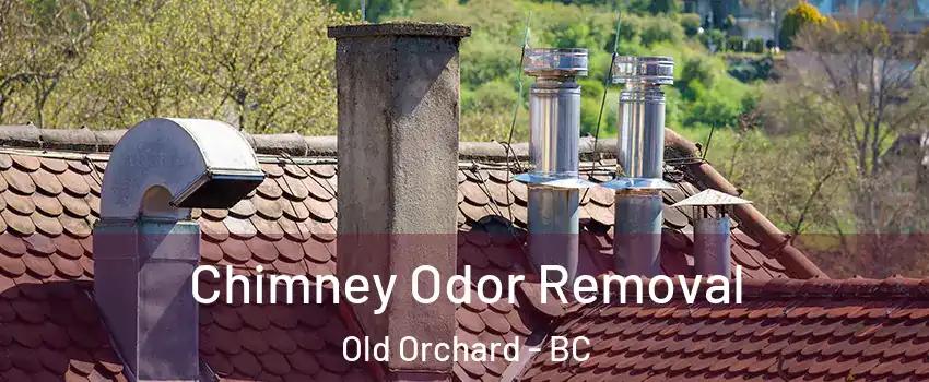  Chimney Odor Removal Old Orchard - BC