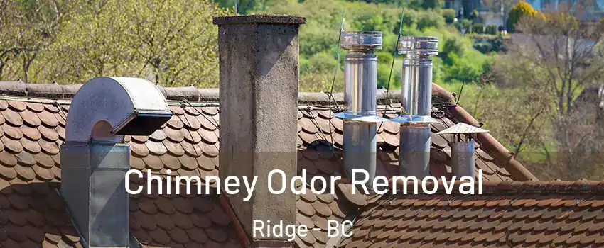 Chimney Odor Removal Ridge - BC