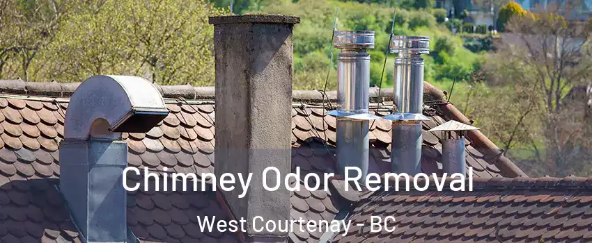  Chimney Odor Removal West Courtenay - BC