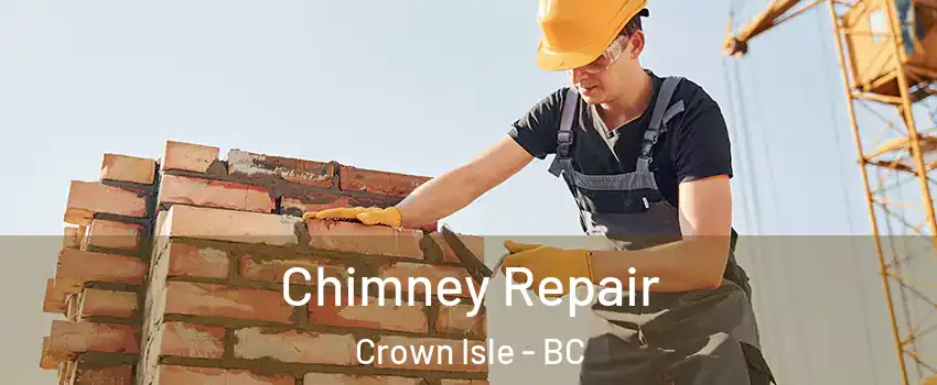  Chimney Repair Crown Isle - BC