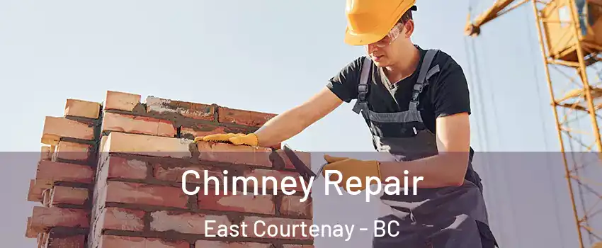  Chimney Repair East Courtenay - BC