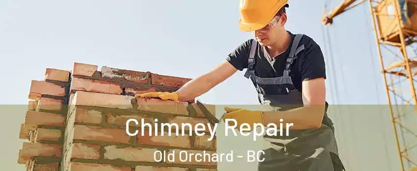  Chimney Repair Old Orchard - BC